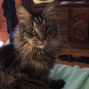 Meet your Posher, Diane